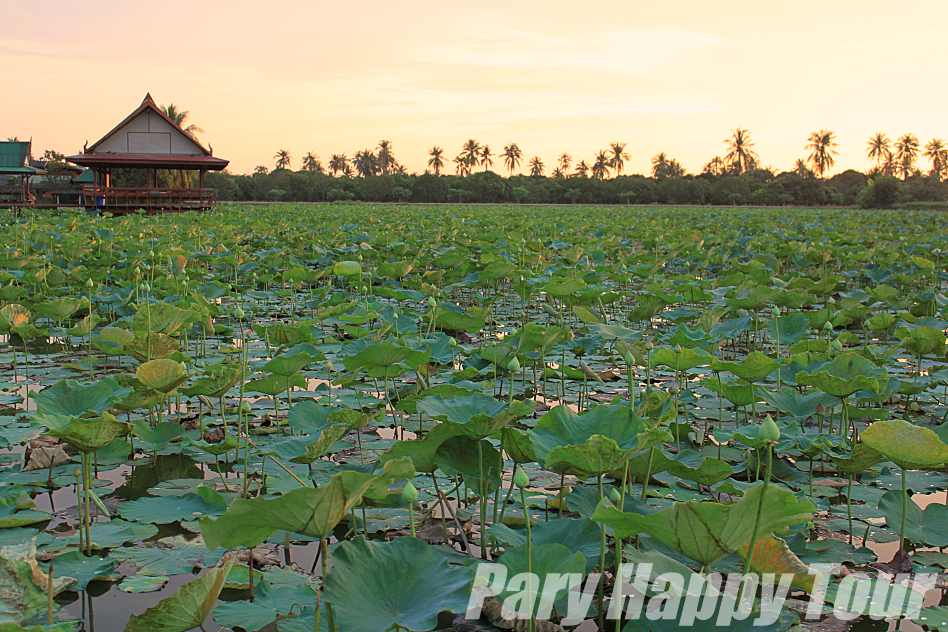 Off The Beaten Path-Experience Local Thai Life